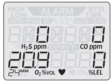 Honeywell BW Clip4 Portable Gas Detector --Detector