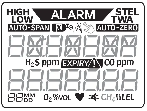 Honeywell BW Clip4 Portable Gas Detector -Display