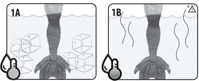 MGA-Entertainment-580829-Mermaze-Mermaidz-Colour-Change-Doll-Shellnelle-FIG-1