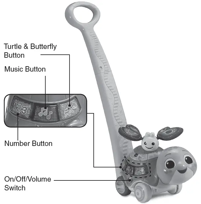 vtech 198858 2-in-1 Push & Discover Turtle introduction
