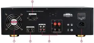 FIG 2 AMPLIFIER BACK PANEL.JPG