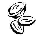 Blender Instructions