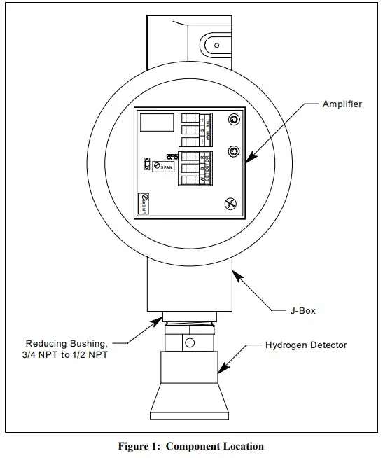 RKI INSTRUMENTS 65 2443 XX PPM Hydrogen Transmitter-