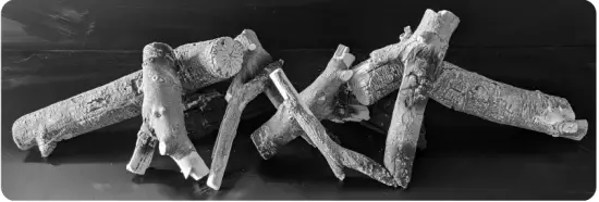 evonicfires Newton 6 E Smart StokeGas and Electric Fireplace Centre - images