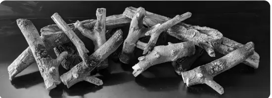 evonicfires Newton 6 E Smart StokeGas and Electric Fireplace Centre - images2