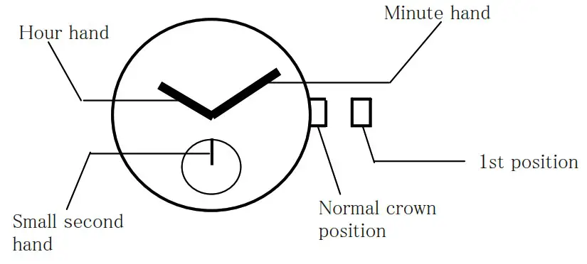 treed Fern Olive and Gold Watch - DISPLAY