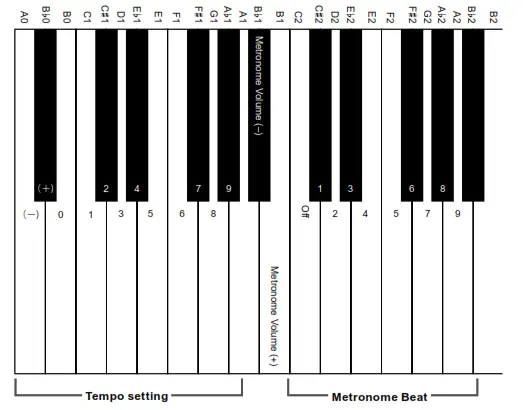 CASIO Electronic Musical Instrument - key