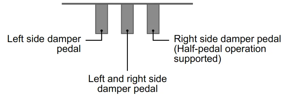 CASIO Electronic Musical Instrument - pedal