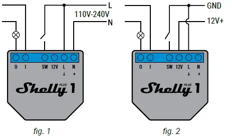 ROSH-SHELLY-Plus-1-fig-1