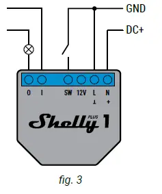 ROSH-SHELLY-Plus-1-fig-2