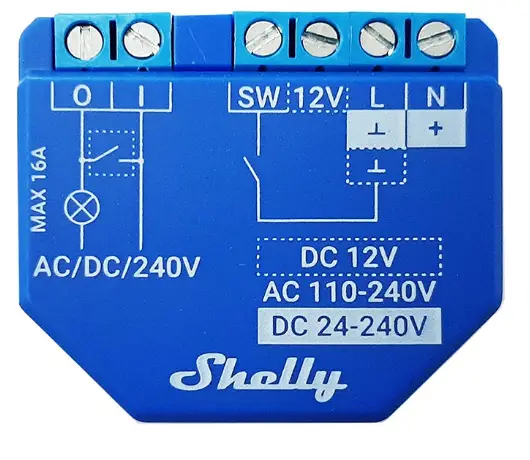 ROSH-SHELLY-Plus-1-product