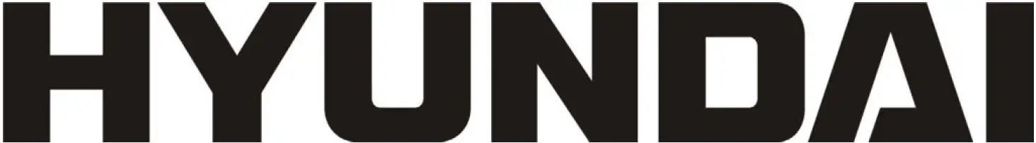 HYUNDAI TB 578 W Electric Blender LOGO