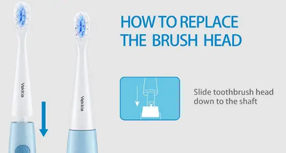 Vekkia-Three-Eyes-Rechargeable-Kids-Electric-Toothbrush (2)