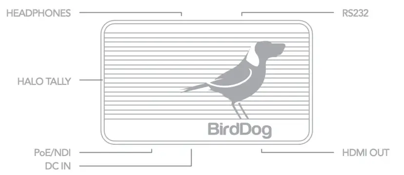 BirdDog Flex 4K Out Full NDI Decoder - fig 2