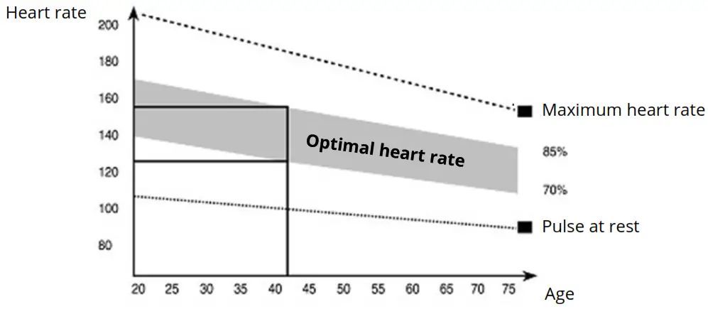 STORMRED WING Rowing Weight Machines - Figure 12