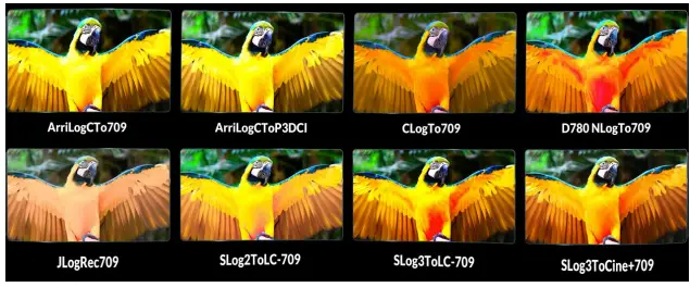 LILLIPUT-17-3-Inch-1RU-Pull-out-Rack-Mount-Monitor-FIG-5