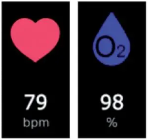 Heart Rate and Oxygen Interface