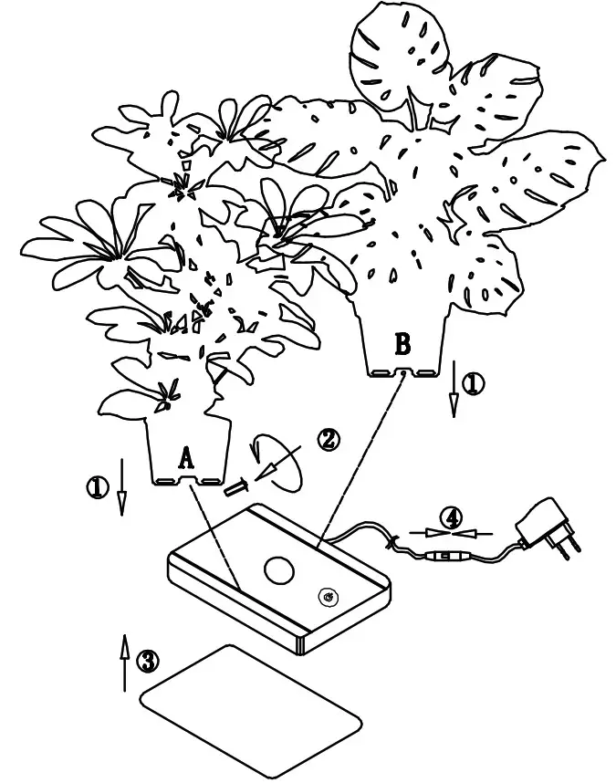 QAZQA Sihouettes TL Green 94525