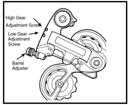 X TREME Newport Elite Max 36V Beach Cruiser Ebike - DERAILLEUR SYSTEMS 2