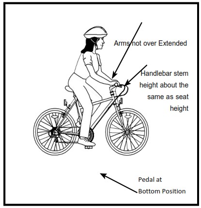 X TREME Newport Elite Max 36V Beach Cruiser Ebike - RIDING POSITION 2
