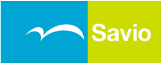 Savio Caldaie RC22 Remote Control