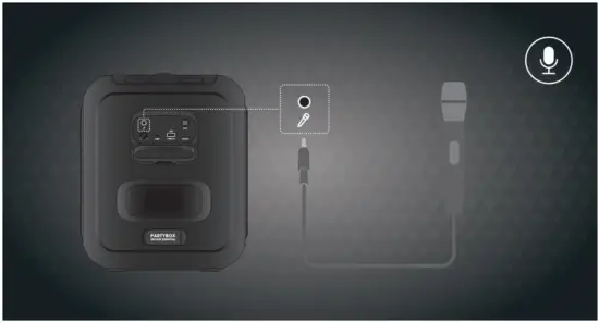 Microphone Connection