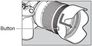 Hood (Sold separately)