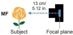 Taking Closeup Shots in the Manual Focusing (MF) Mode
