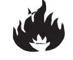 Fire icon
