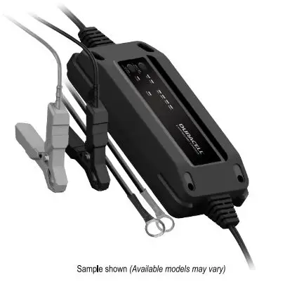 DURACELL 100 Ah 12.8 Volt Iron Phosphate Battery 16