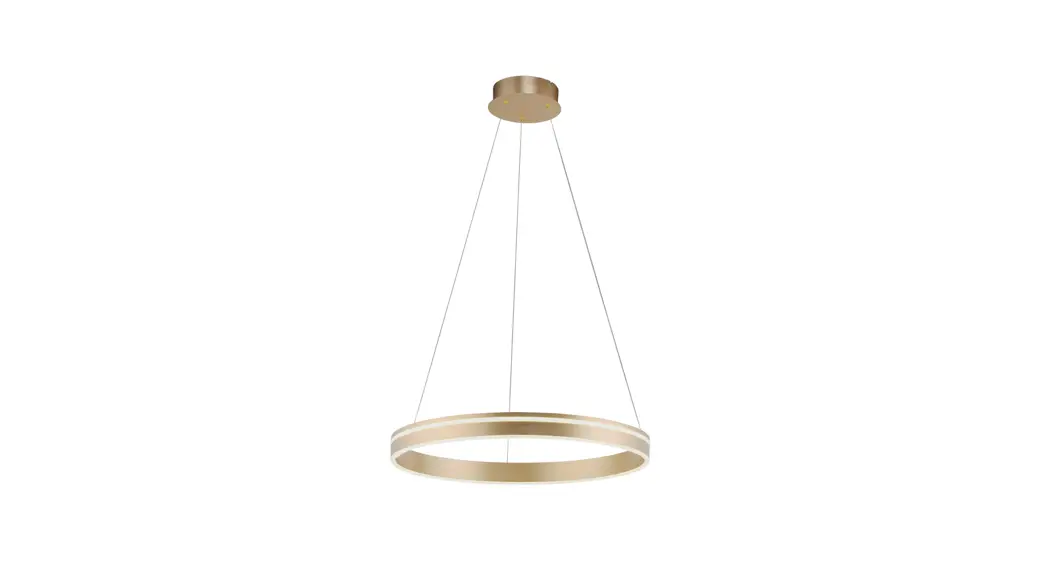 Paul Neuhaus 835984 Led Pendant Light Instruction Manual