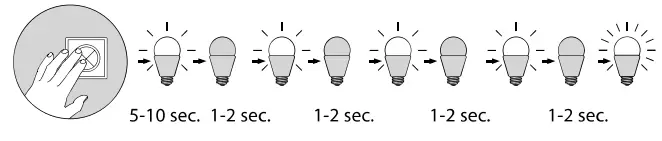 Paul Neuhaus 835984 LED Pendant Light - Fig3