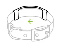 averia-Dog-Collar-FIG3