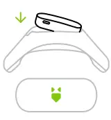 averia-Dog-Collar-FIG4