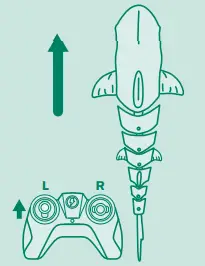 TERRA-21E24T08-RC-Shark-1