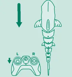 TERRA-21E24T08-RC-Shark-2