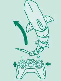 TERRA-21E24T08-RC-Shark-3