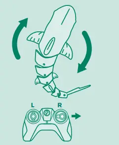 TERRA-21E24T08-RC-Shark-6