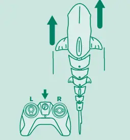 TERRA-21E24T08-RC-Shark-7