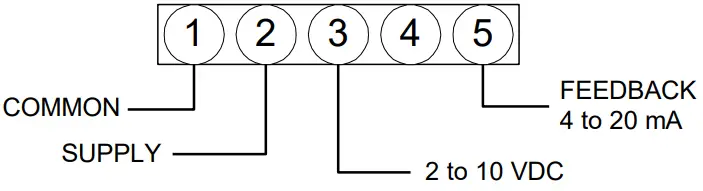 neptronic RM080 360 in.lb Actuators - Analog