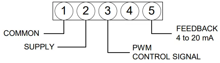 neptronic RM080 360 in.lb Actuators - PWM