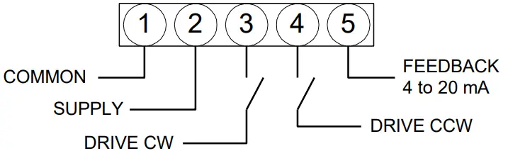 neptronic RM080 360 in.lb Actuators - point floating