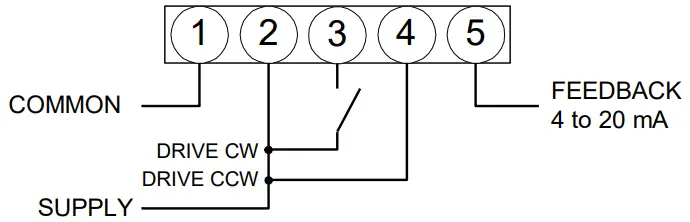 neptronic RM080 360 in.lb Actuators - position