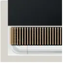 BANG OLUFSEN BeoSound Theatre E01