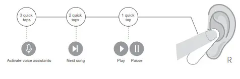 Timekettle M2 Translator Earbuds-Music Status 2