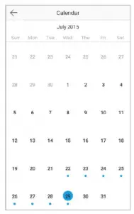 calendar