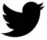 Twitter Icon