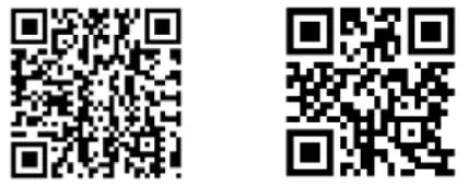 Paul Neuhaus 6843-17 Ceiling Light - qr