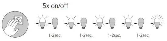 Paul Neuhaus 6843 17 Ceiling Light - reset
