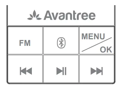 Avantree Audikast 4860 Wireless TV Speaker with Transmitter - Product Overview